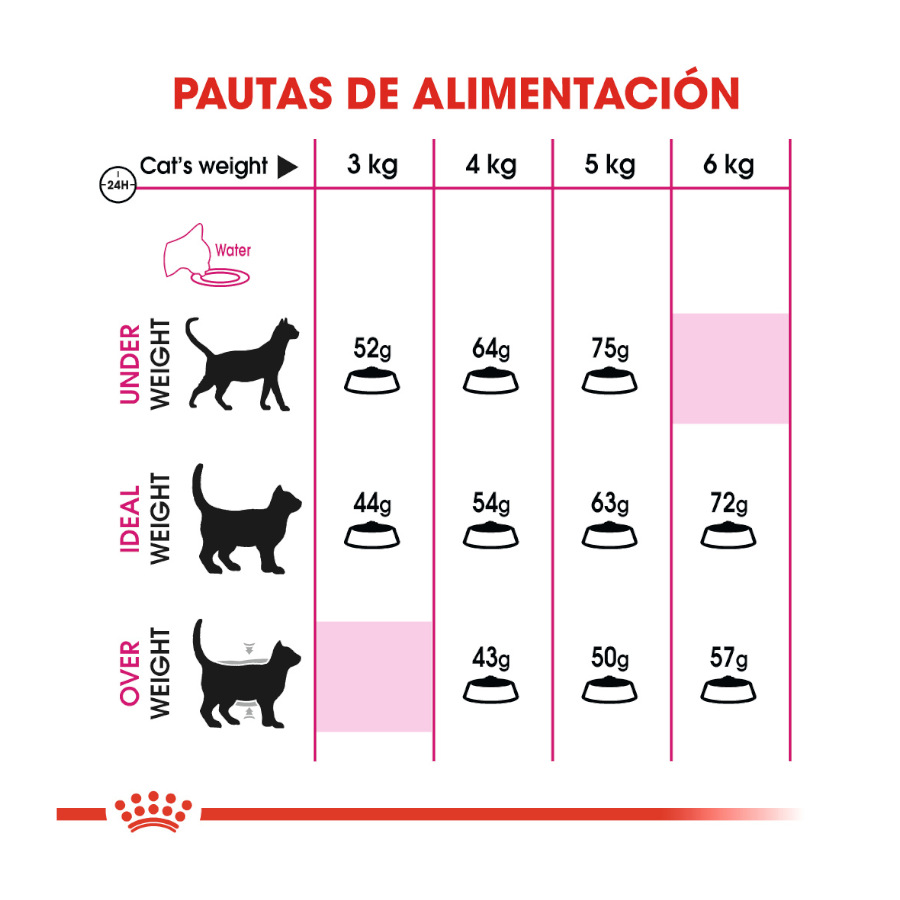 Royal Canin Adult Exigent Aroma ração para gatos, , large image number null